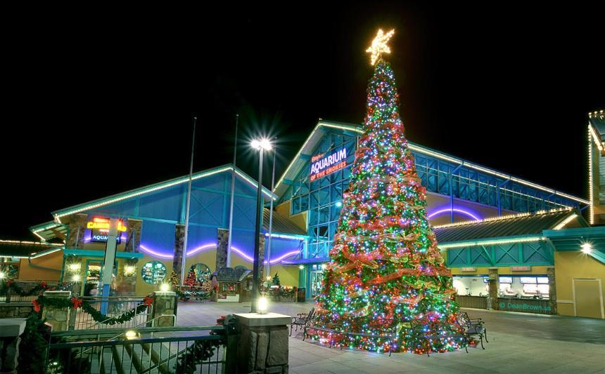Above The Tree Tops Sevierville Exterior foto